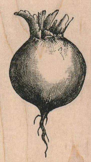 Turnip 2 x 3 1/4-0