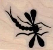 Dragonfly Silhouette 1 x 1-0
