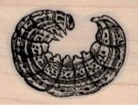 Caterpillar Larvae 1 1/4 x 1 1/2-0