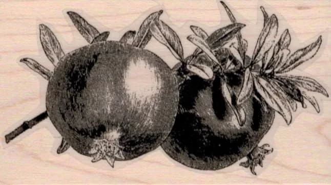 Pair of Pomegranates 2 x 3 1/4-0