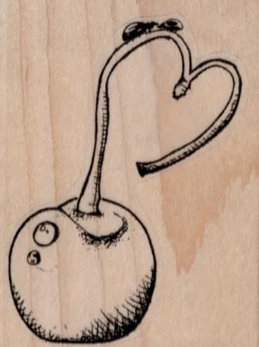 Love Bugs on Fruit 2 x 2 1/2-0