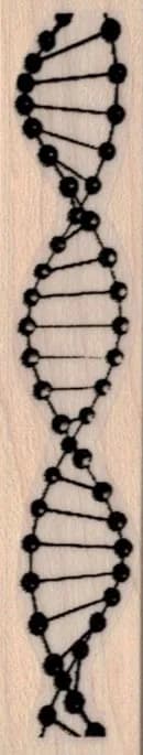 DNA Strand/Helix 3/4 x 3 1/2-0