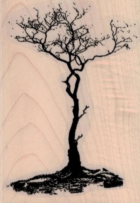 Weathered Tree 3 x 4 1/4-0