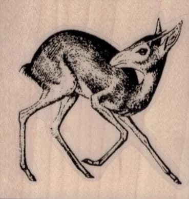 Fawn 2 x 2-0