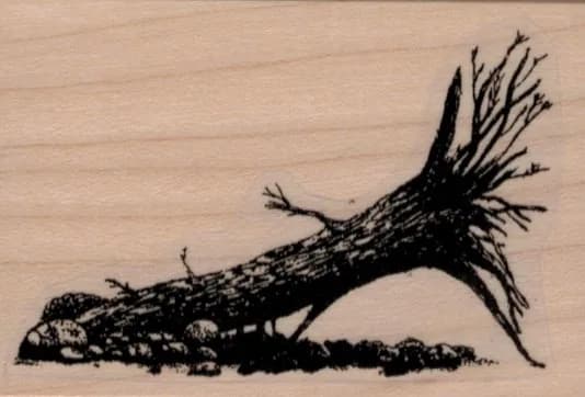 Fallen Tree 2 x 2 3/4-0