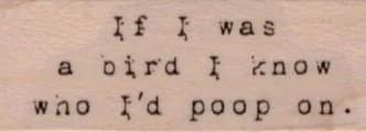 If I Was A Bird 3/4 x 1 3/4-0