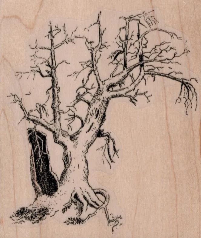 Old Tree 3 1/2 x 4-0