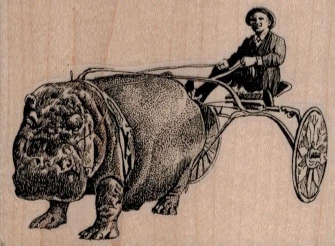 Hippo Racer 3 1/2 x 2 1/2-0