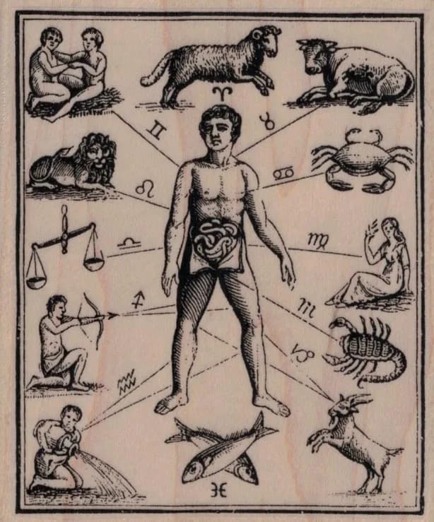 Zodiac Diagram 3 1/4 x 3 3/4-0
