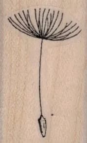 Dandelion Seed 1 x 1 1/2-0