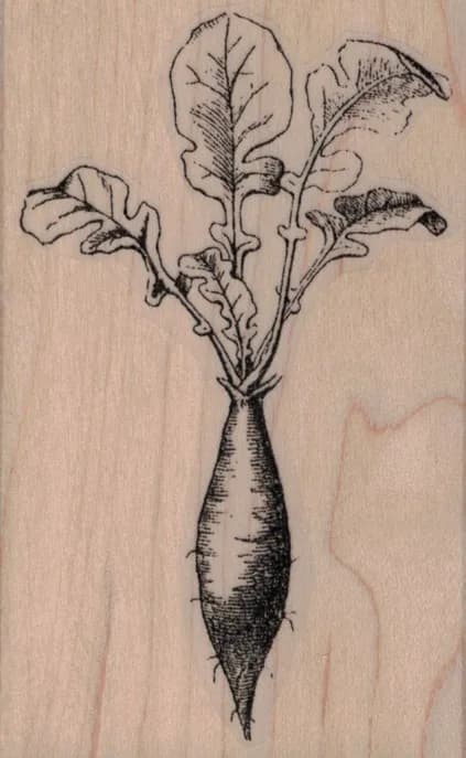 Radish 2 1/4 x 3 1/2-0