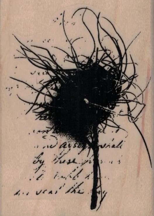 Nature Collage by Cat Kerr 2 3/4 x 3 3/4-0