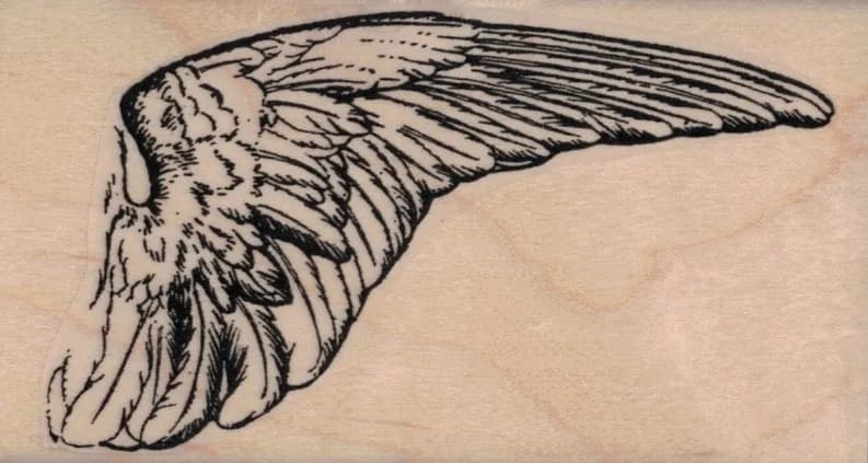 Feathered Wing Right 2 1/4 x 4-0