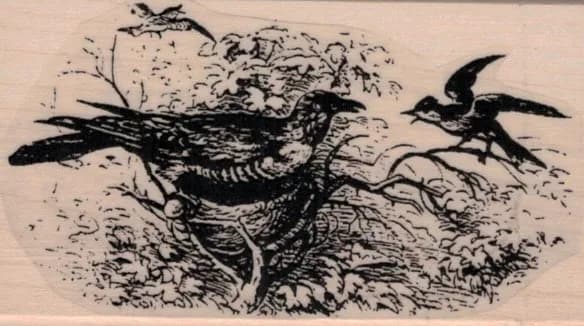 Bird In Birds Nest 1 3/4 x 3-0