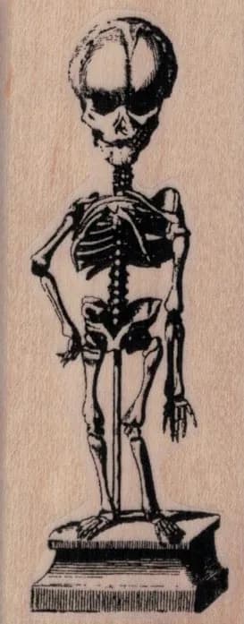 Skeleton On Pedestal 1 1/2 x 3 1/2-0