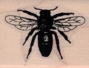 Bee Silhouette by Cat Kerr 1 1/4 x 1 1/2-0