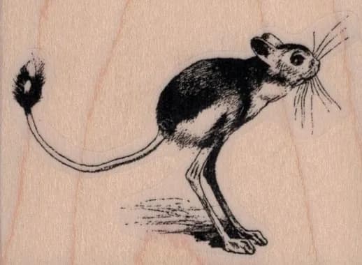 Jerboa 2 3/4 x 2-0