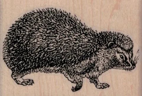 Hedgehog 2 1/2 x 1 3/4-0