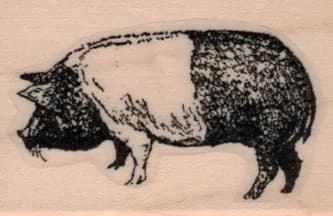 Essex Pig 1 1/4 x 1 3/4-0