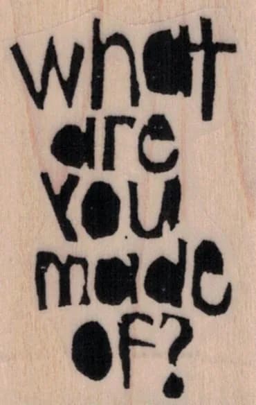 Ethos What Are You by Tina Walker 1 1/2 x 2-0