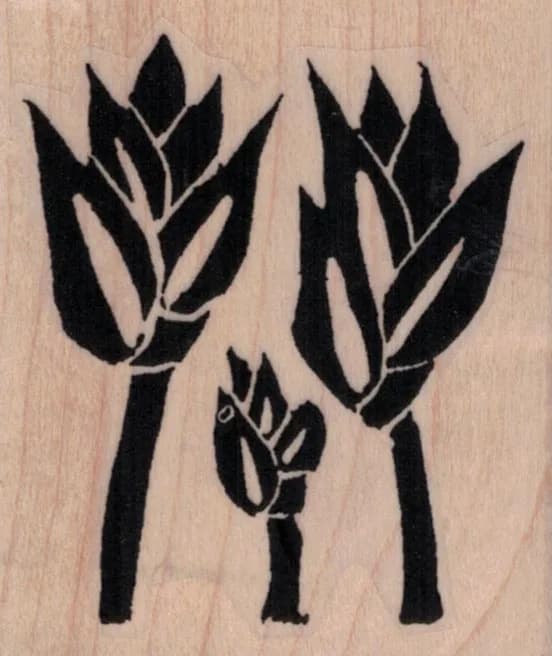 Ethos Tulips By Tina Walker 2 x 2 1/4-0