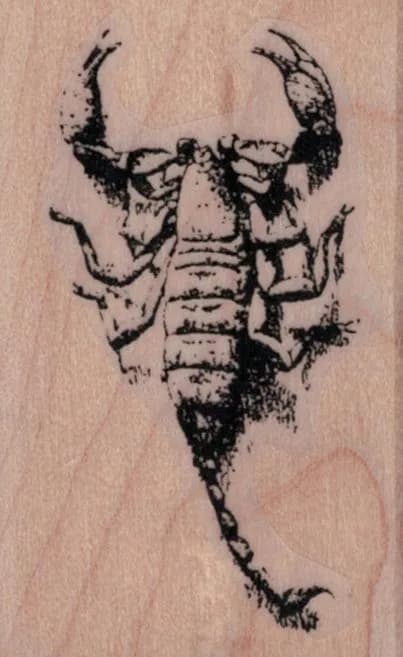 Scorpion 1 1/2 x 2 1/4-0
