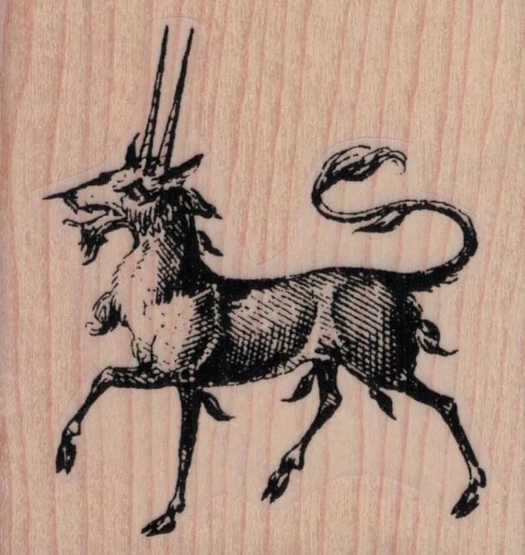 Pirassoipi Bicorn 2 3/4 x 2 3/4-0