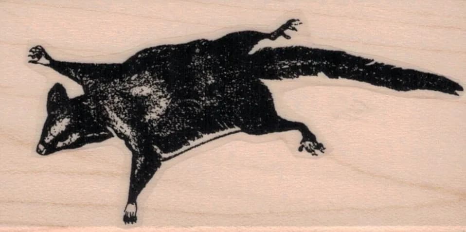 Flying Squirrel 1 3/4 x 3 1/4-0