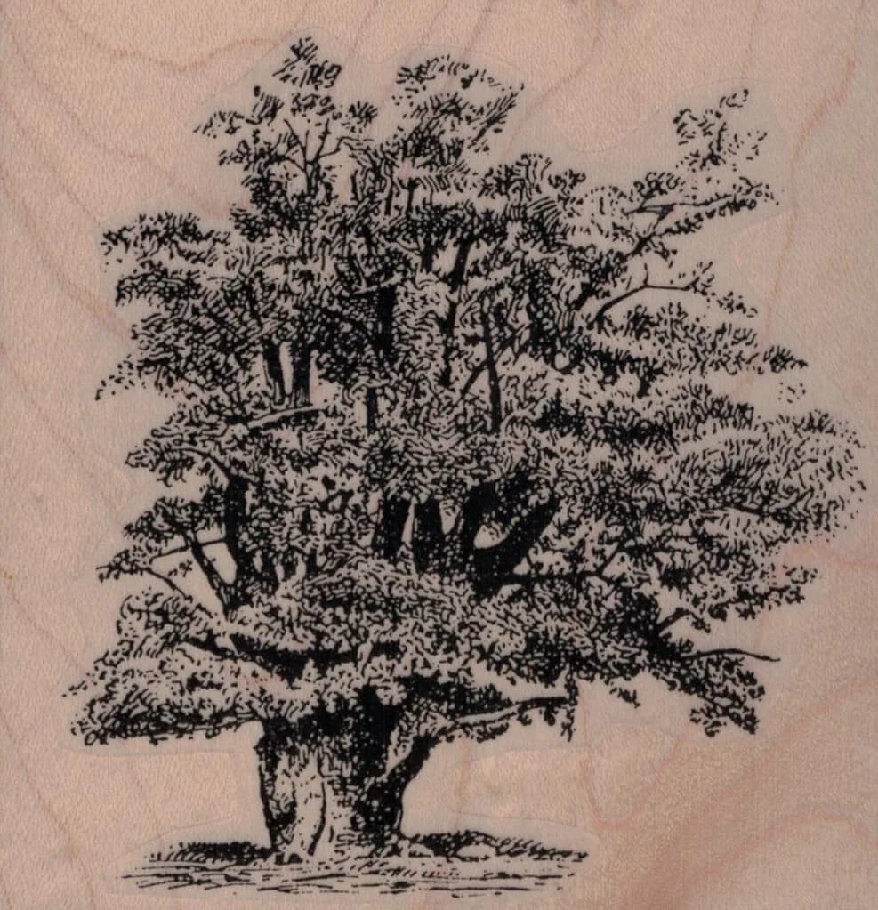 Leafy Tree 3 1/2 x 3 1/2-0
