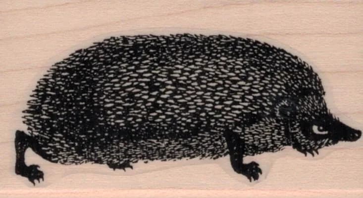 Hedgehog 1 1/2 x 2 1/2-0
