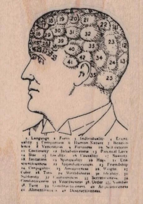 Numbered Head 1 3/4 x 2 1/4-0