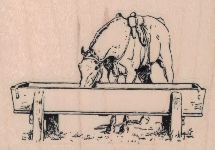 Horse At Trough 3 x 2-0