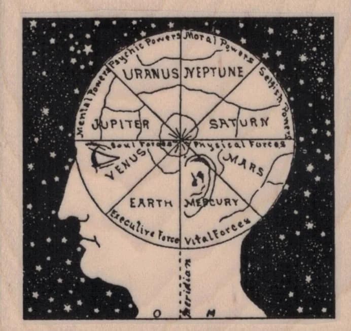 Astro Phrenology Brain 2 1/2 x 2 1/4-0