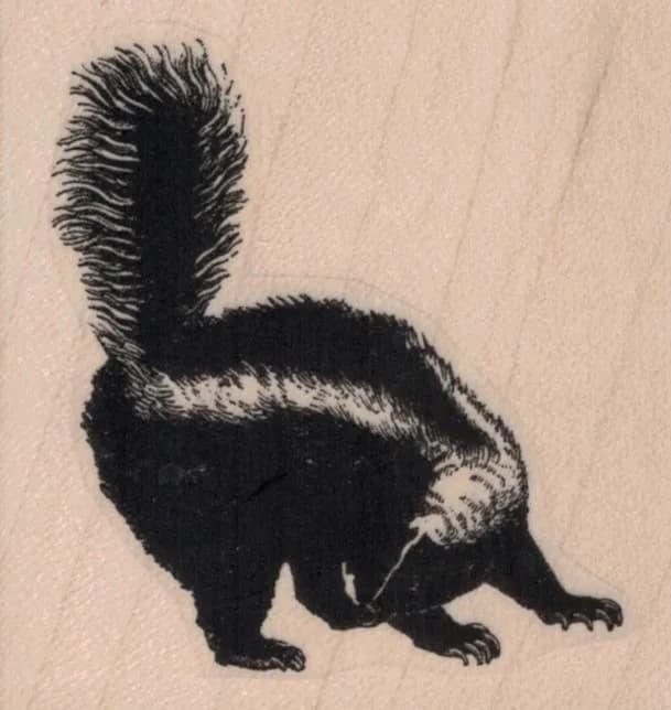 Skunk 2 1/4 x 2 1/4-0