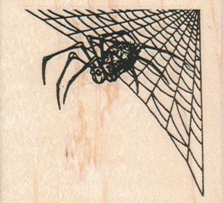 Spider And Web In Corner 2 1/4 x 2-0