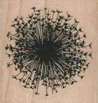 Dandelion Head Silhouette 1 1/2 x 1 1/2-0
