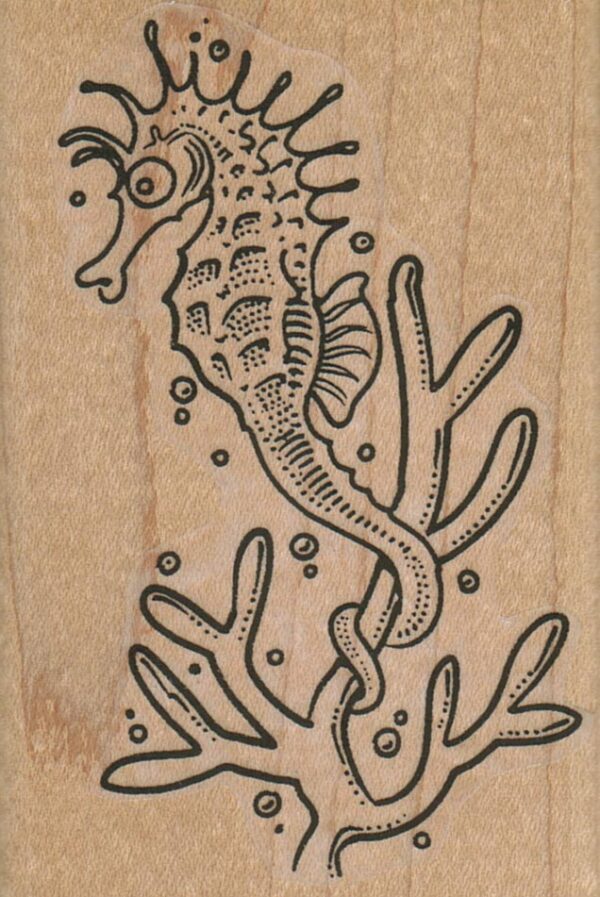 SeaHorse on Coral 2 1/4 x 3 1/4-0
