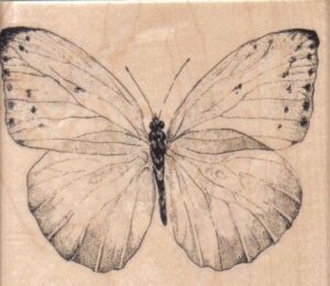 Butterfly Gossamer/Large 4 1/4 X 3 1/2-0