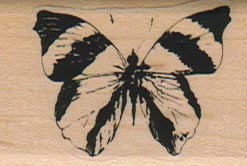 Butterfly Striped/Sm 1 3/4 x 1 1/4-0