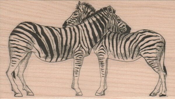 Zebra Pair 2 3/4 x 4 1/2-0