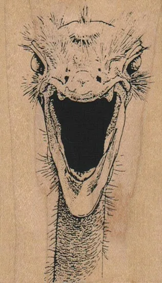 Screaming Ostrich Head 2 1/4 x 3 3/4-0