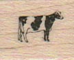 Cow With Spots 3/4 x 3/4-0