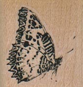 Butterfly Side/Sm 1 1/4 x 1 1/4-0