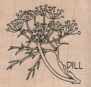 Dill Plant 2 1/4 x 2-0