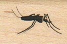 Mosquito 3/4 x 1-0
