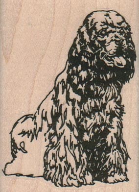 Cocker Spaniel Dog 2 x 2 3/4-0