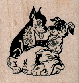 BullDog, Boston Terrier And Terrier 2 x 2-0