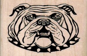 BullDog With Spike Collar 2 3/4 x 1 3/4-0