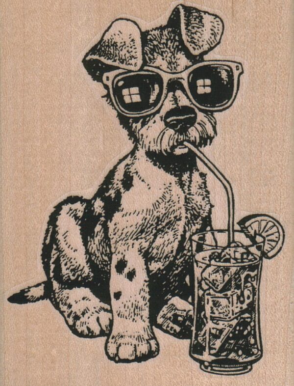 Sunglasses Terrier Drinking Iced Tea/Lemonade 2 3/4 x 3 1/2-0
