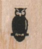 Owl On Branch 3/4 x 3/4-0